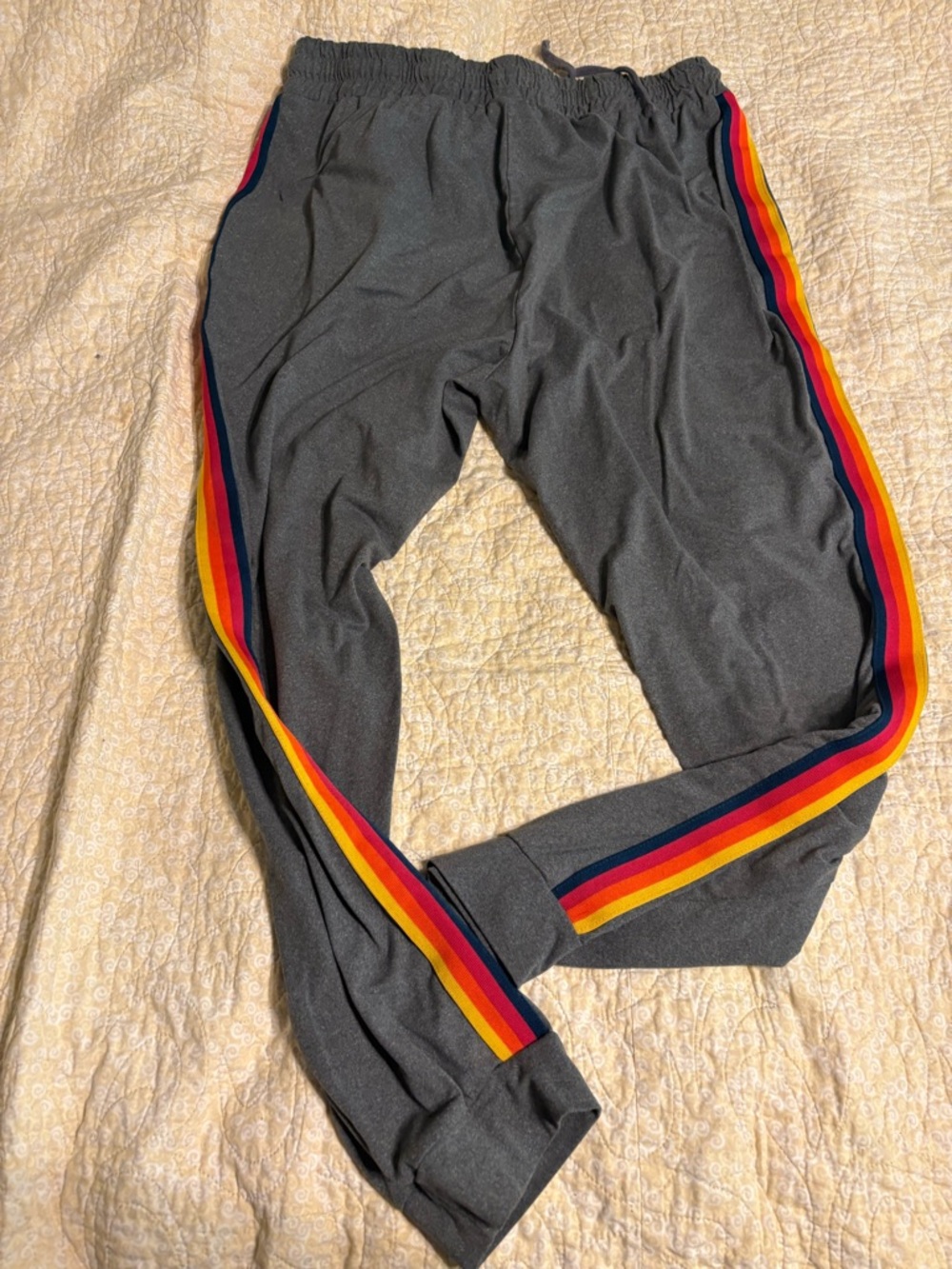 Gray Track Pants with Rainbow Side Stripes